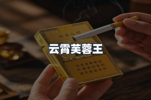 云霄芙蓉王